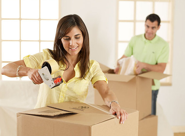 Professional Packers and Movers