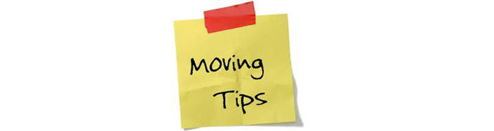 Professional Packers and Movers